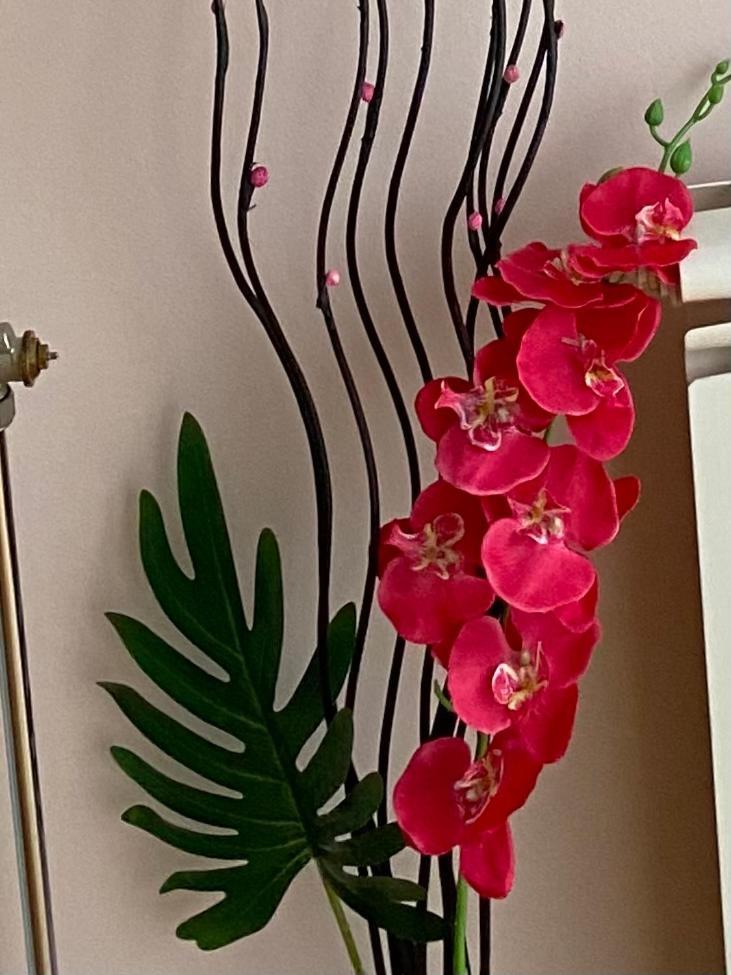 Apartment Orchid 021 Újvidék Kültér fotó